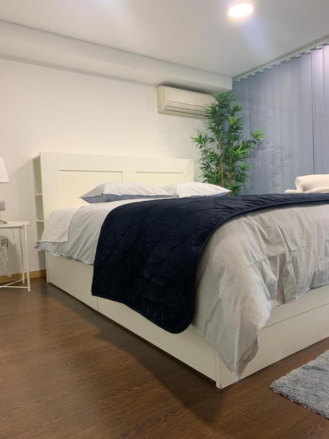 Oikos 77 Lägenhet Aveiro Exteriör bild